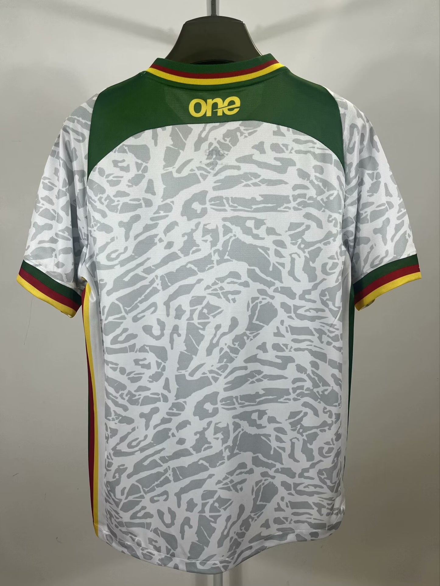Cameroon Special Edition 2024/2025 Fan Version Football Jersey