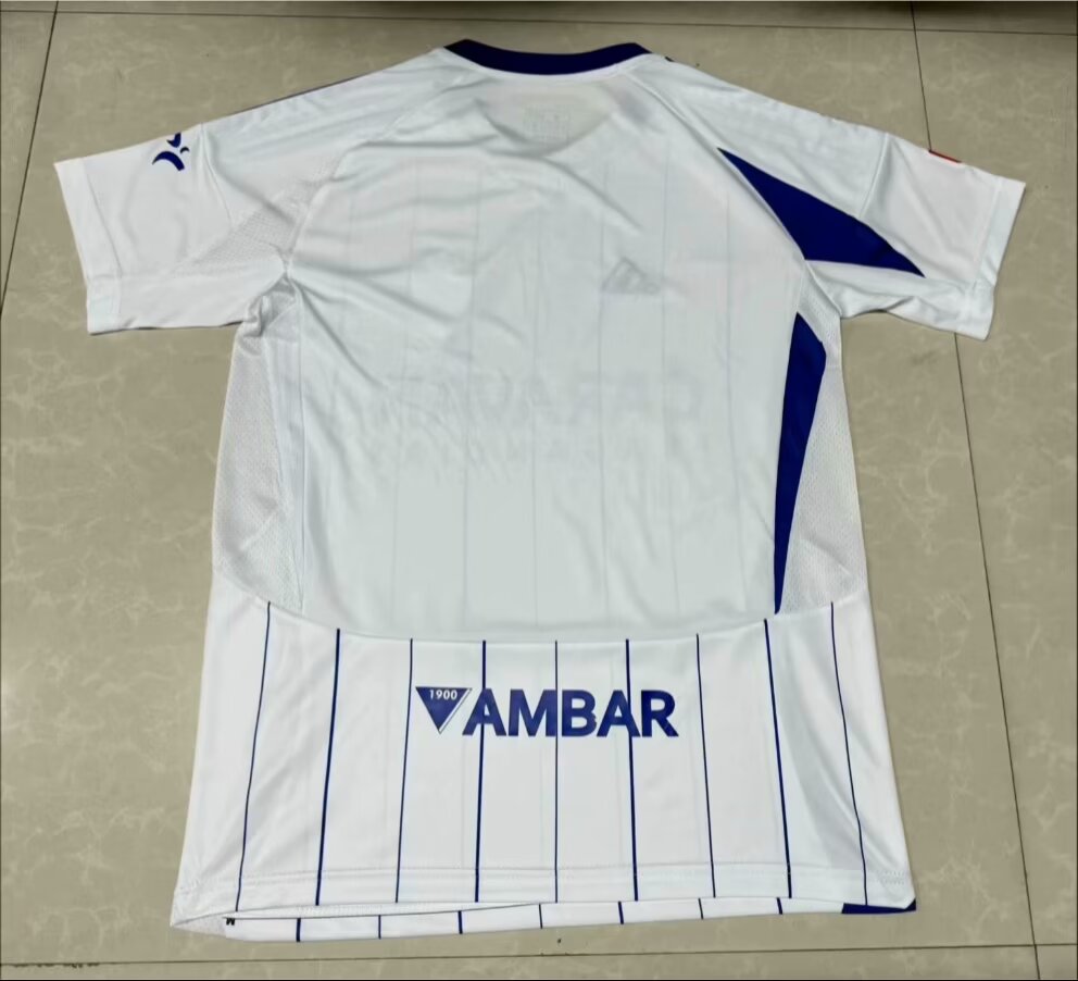 Real Zaragoza 2024/2025 Home Fan Version Football Jersey