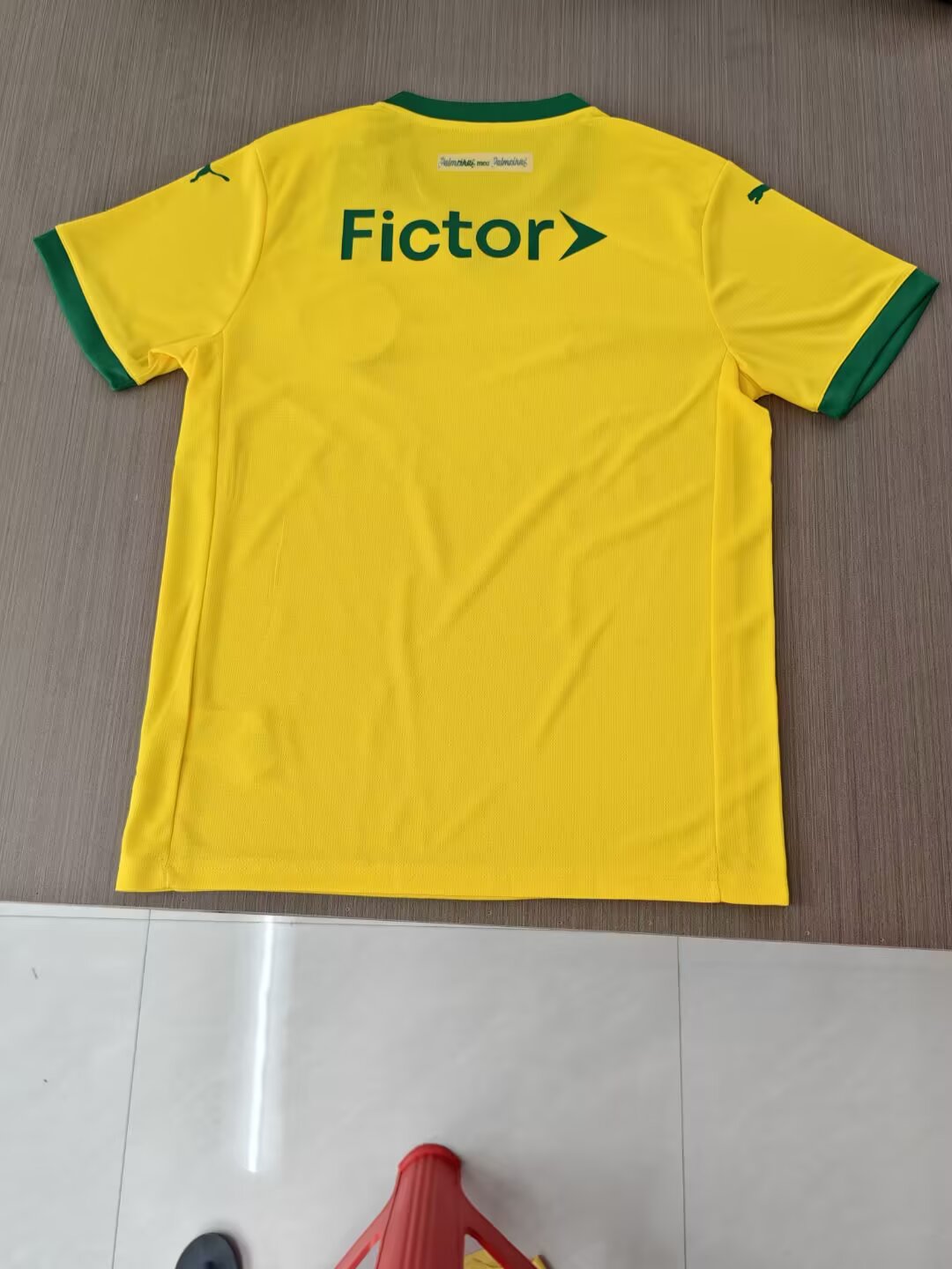 Palmeiras 2026/2027 Third Fan Version Football Jersey