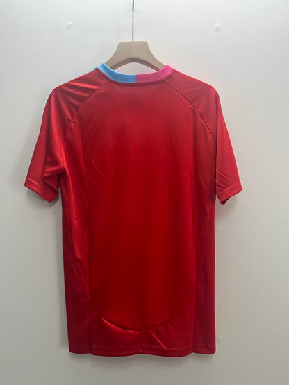 Inter Miami CF Special Edition 2024/2025 Fan Version Football Jersey