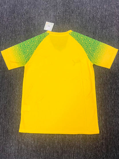 Congo Special Edition 2025/2026 Fan Version Football Jersey