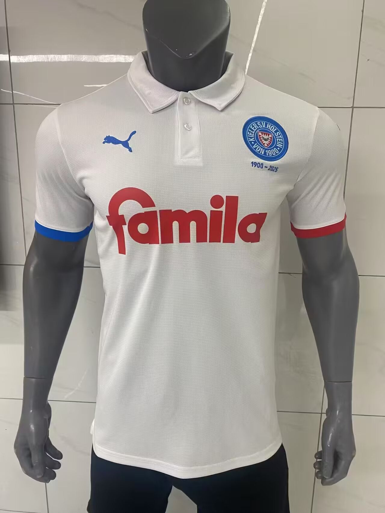 Germany-Bundesliga 2025/2026 Home Fan Version Football Jersey