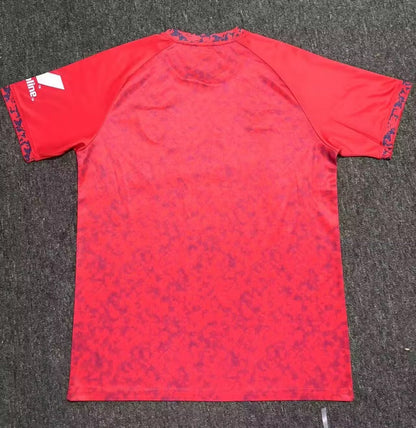 Sevilla FC 2024/2025 Away Fan Version Football Jersey