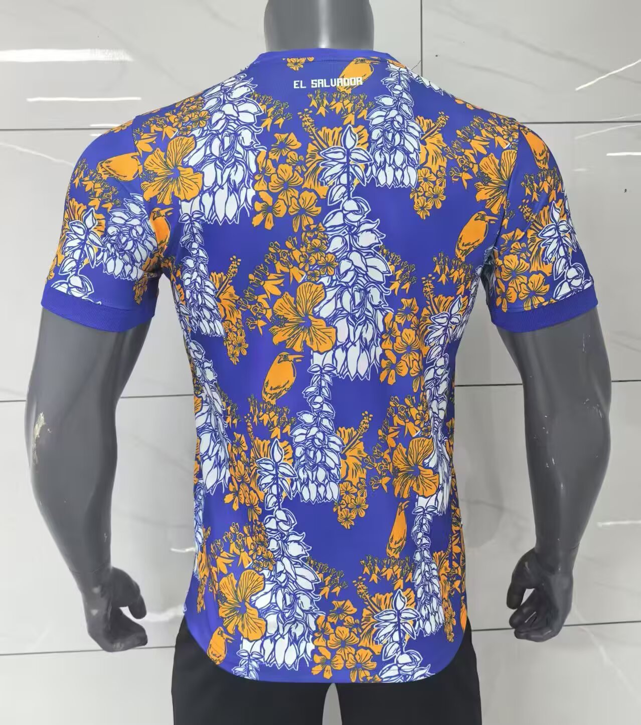 other national team 2025/2026 Fan Version Tracksuit