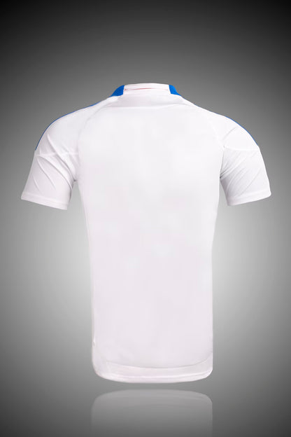 Retro Lyon 2010/2011 Home Fan Version Football Jersey