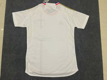 France -Ligue 1 2023/2024 Home Fan Version Football Jersey