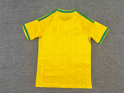 South Africa 2026/2027 Home Fan Version Football Jersey