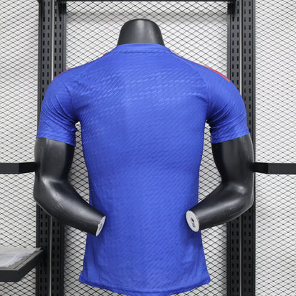 Japan Special Edition 2024/2025 Player Version Football Jersey