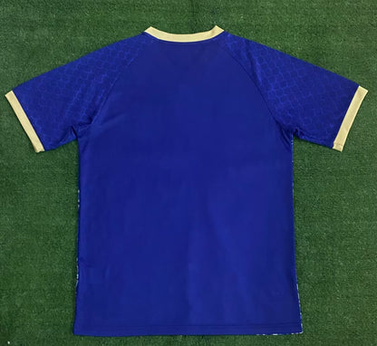 Japan Special Edition 2024/2025 Fan Version Football Jersey