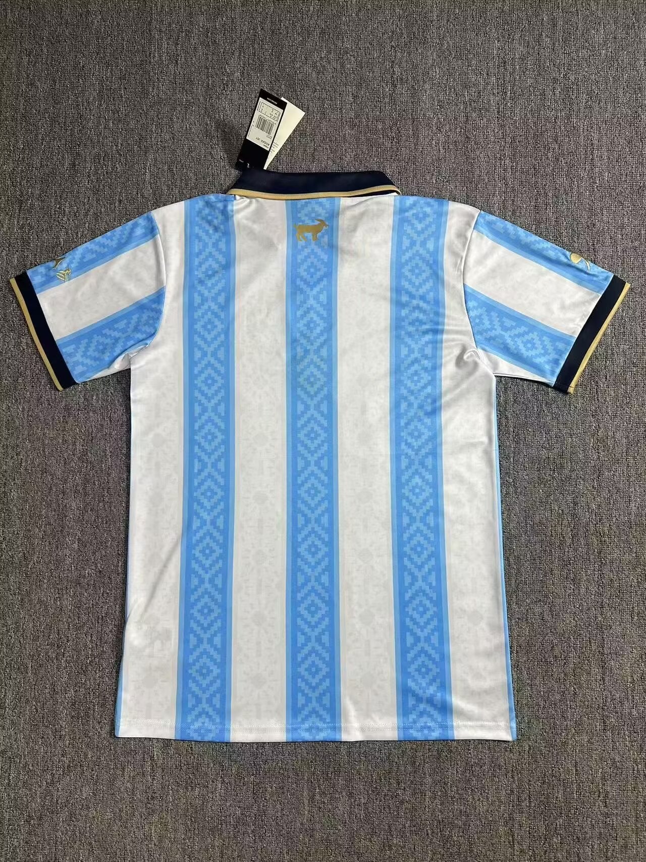 Argentina Special Edition 2024/2025 Fan Version Football Jersey