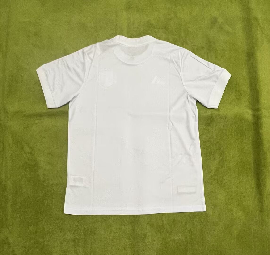 Italy Special Edition 2025/2026 Fan Version Football Jersey