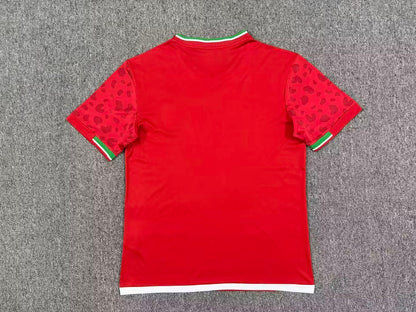 Iran 2026/2027 Away Fan Version Football Jersey