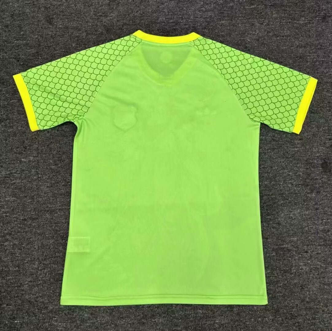 Japan Special Edition 2025/2026 Fan Version Football Jersey