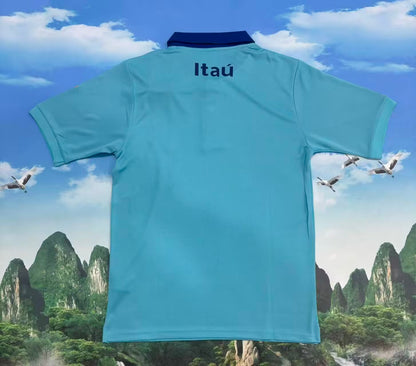 Brazil 2025/2026 Fan Version Football Jersey
