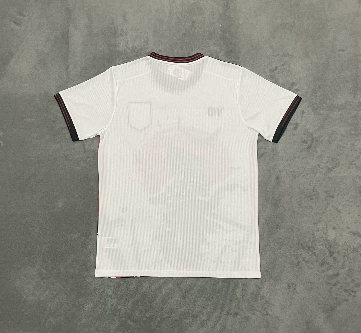 Japan Special Edition 2024/2025 Fan Version Football Jersey