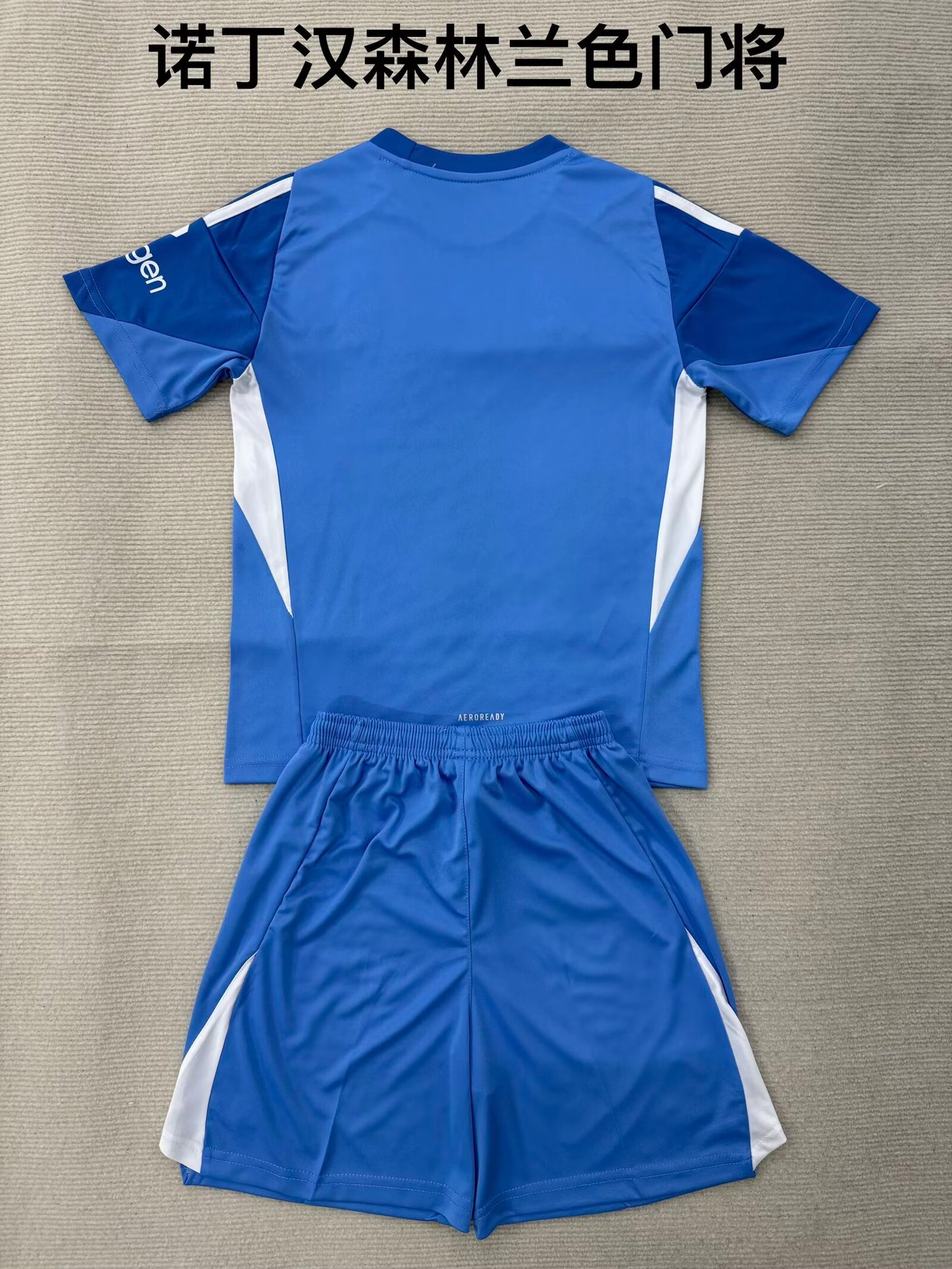 Premier- league 2025/2026 Kids Goalkeeper Football Jersey