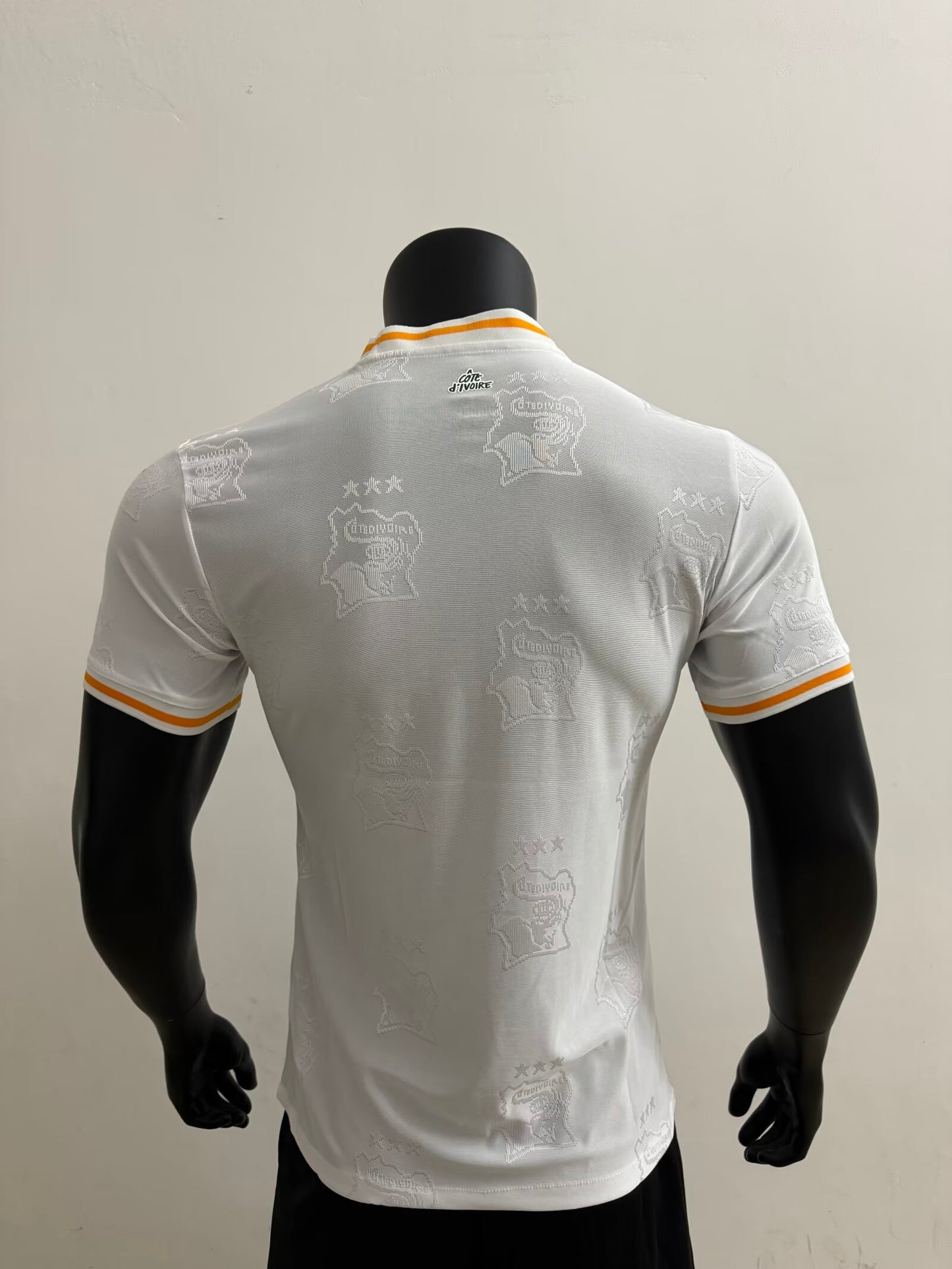 Cote dIvoire 2025/2026 Away Player Version Football Jersey