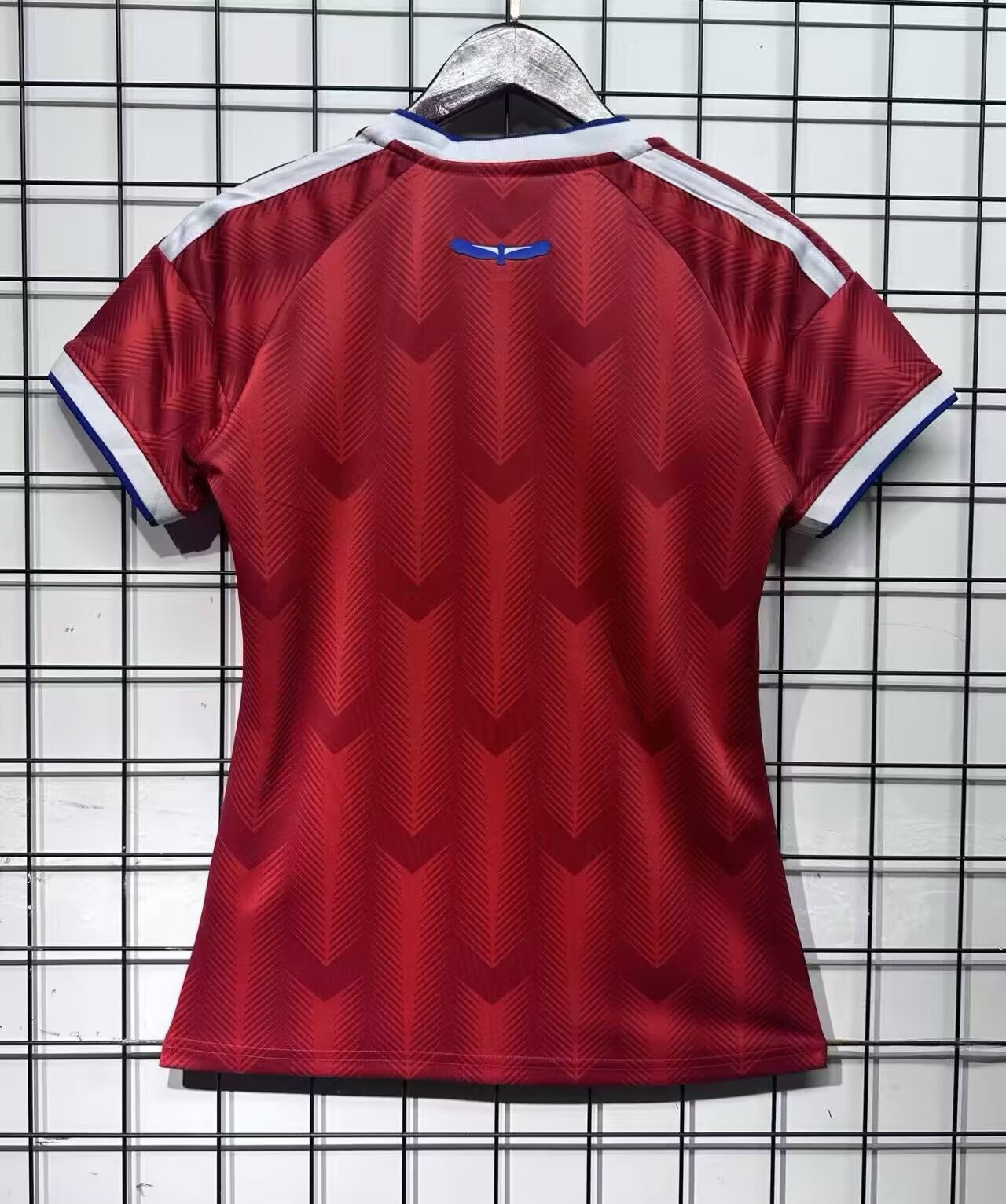 Chile 2026/2027 Women Home Fan Version Football Jersey