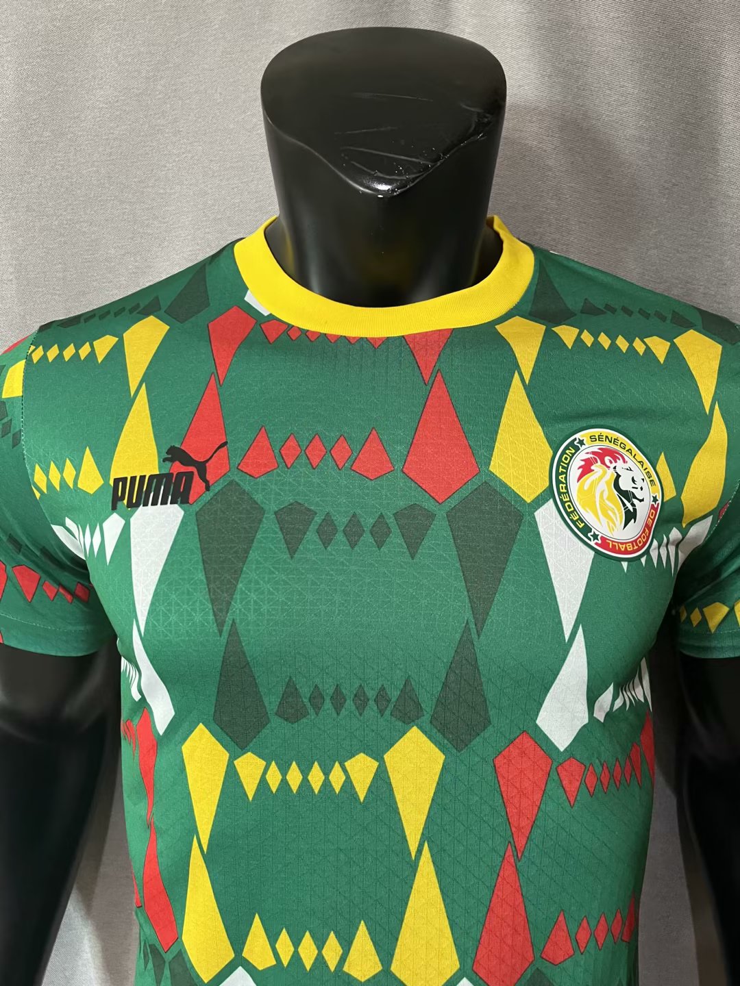 Senegal 2023/2024 Away Player Version Football Jersey