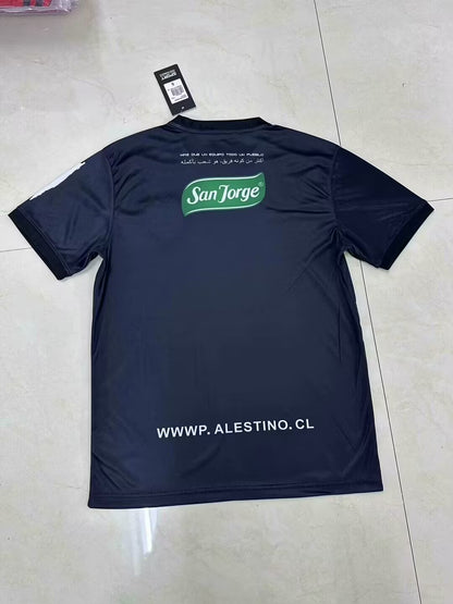 other team Special Edition 2024/2025 Fan Version Football Jersey