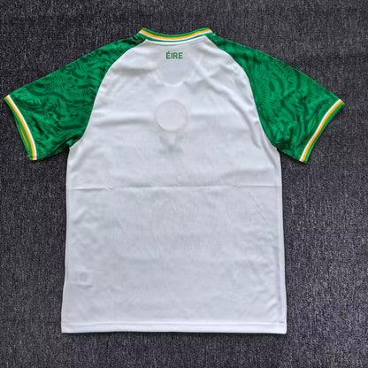 Celtic Special Edition 2025/2026 Fan Version Football Jersey