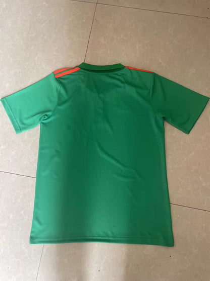Celtic Special Edition 2024/2025 Fan Version Football Jersey