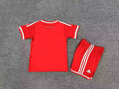 Retro Kids jerseys 2013/2014 Kids Home Football Jersey