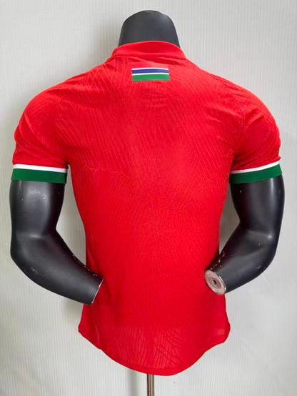 Gambia 2026/2027 Away Player Version Football Jersey