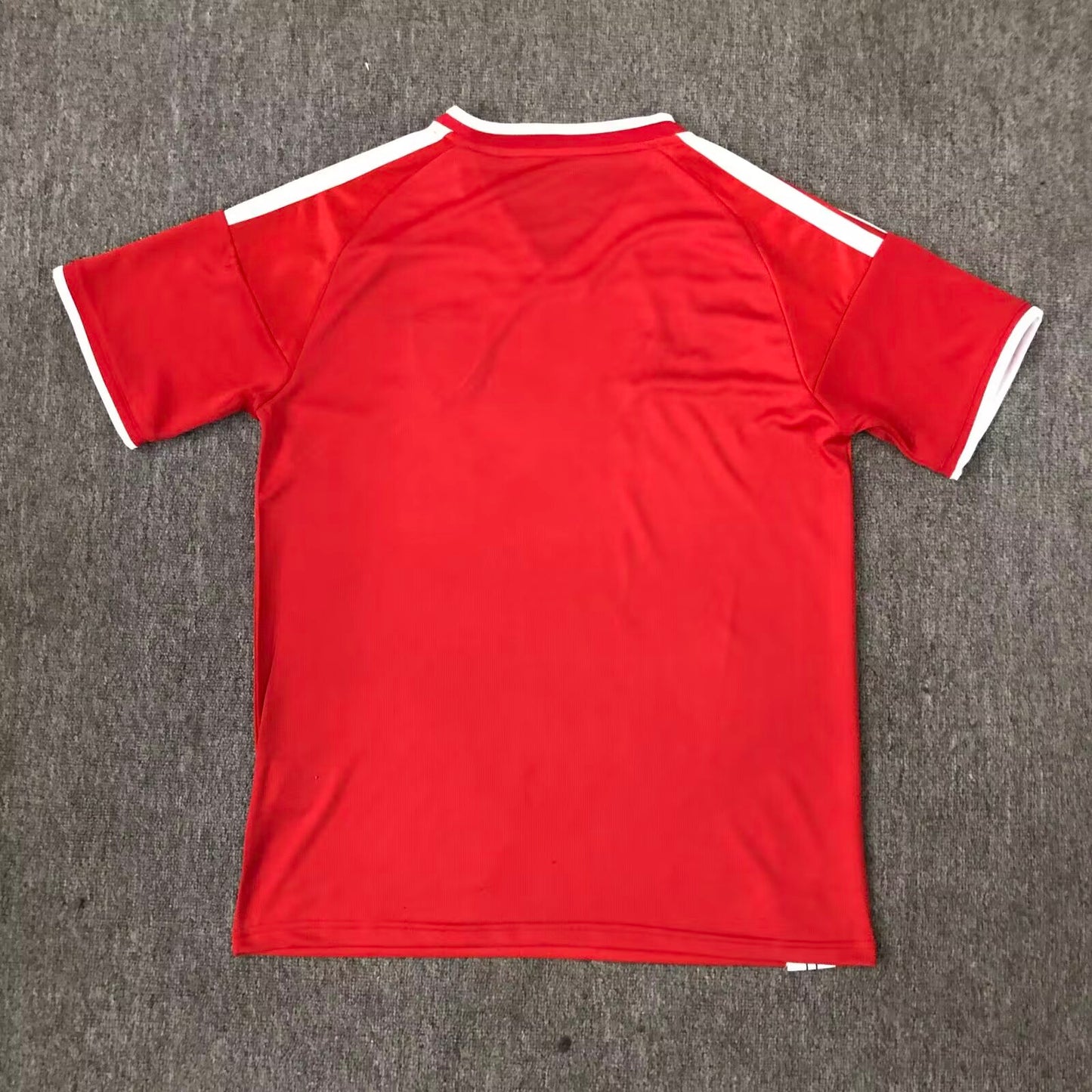 Wales Special Edition 2026/2027 Fan Version Football Jersey