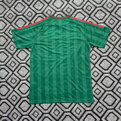 Adidas Clover Classic green and red stripes T-shirt Green Jersey 2025-2026