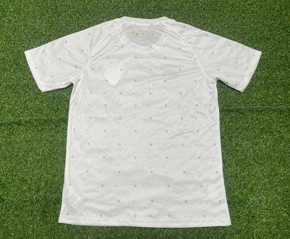 Celtic Special Edition 2023/2024 Fan Version Football Jersey