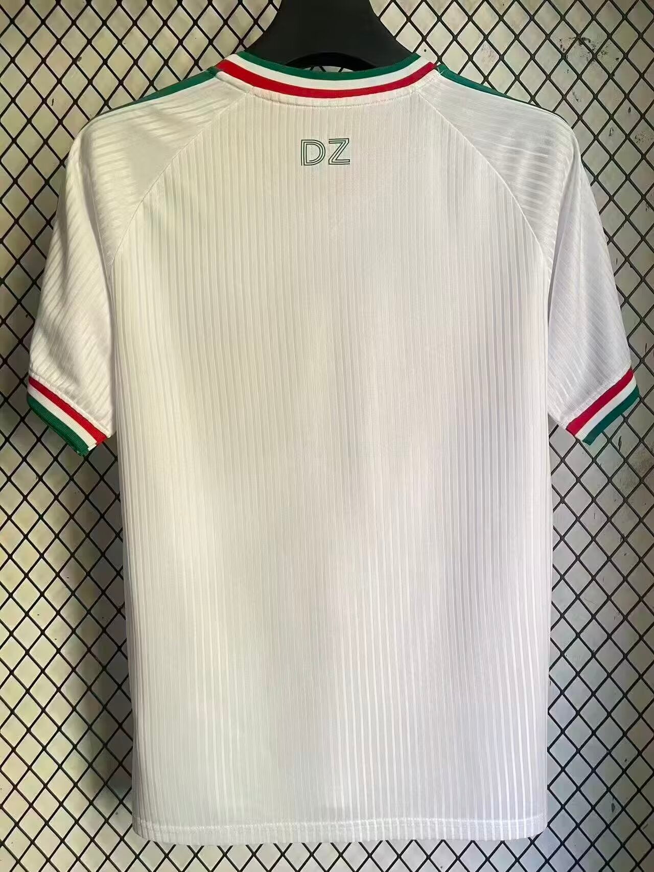 Algeria Special Edition 2026/2027 Fan Version Football Jersey