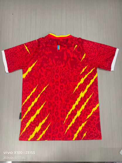 Congo 2026/2027 Third Away Fan Version Football Jersey