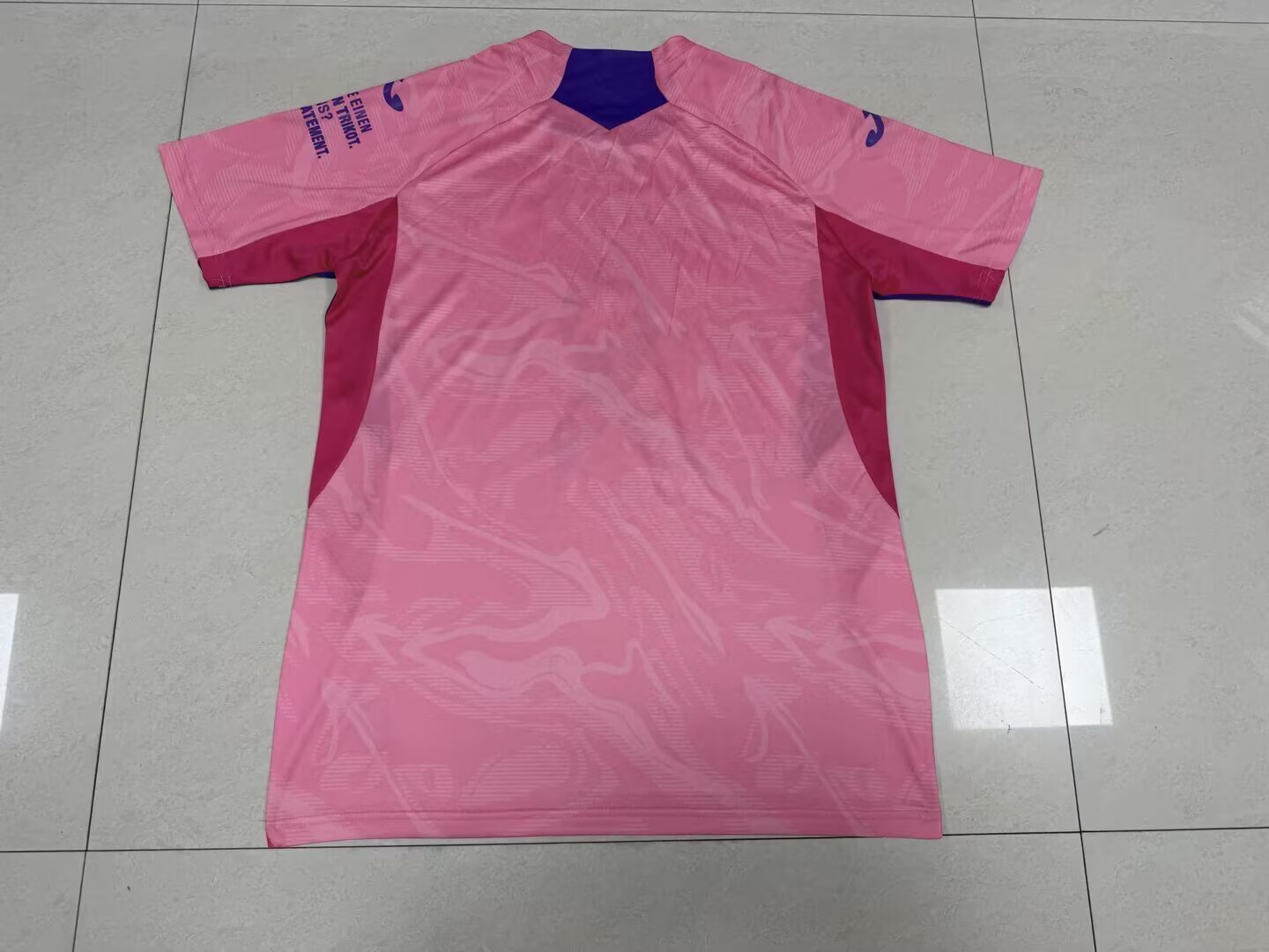 Hoffenheim Special Edition 2025/2026 Fan Version Football Jersey
