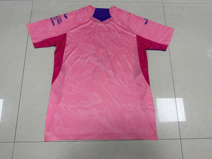 Hoffenheim Special Edition 2025/2026 Fan Version Football Jersey