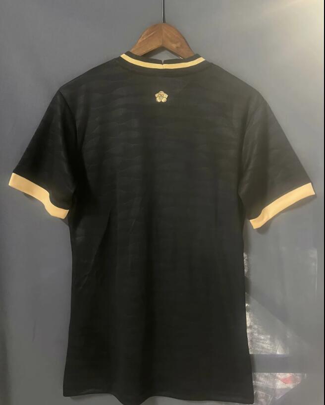 Panama 2024/2025 Away Fan Version Football Jersey