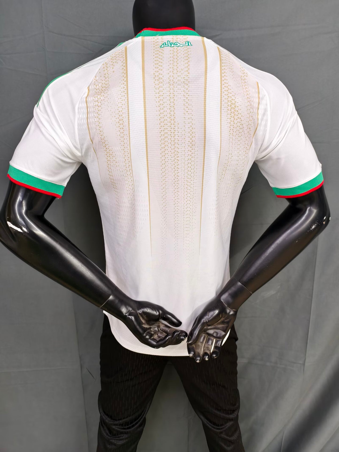 Algeria 2026/2027 Home Player Version Football Jersey