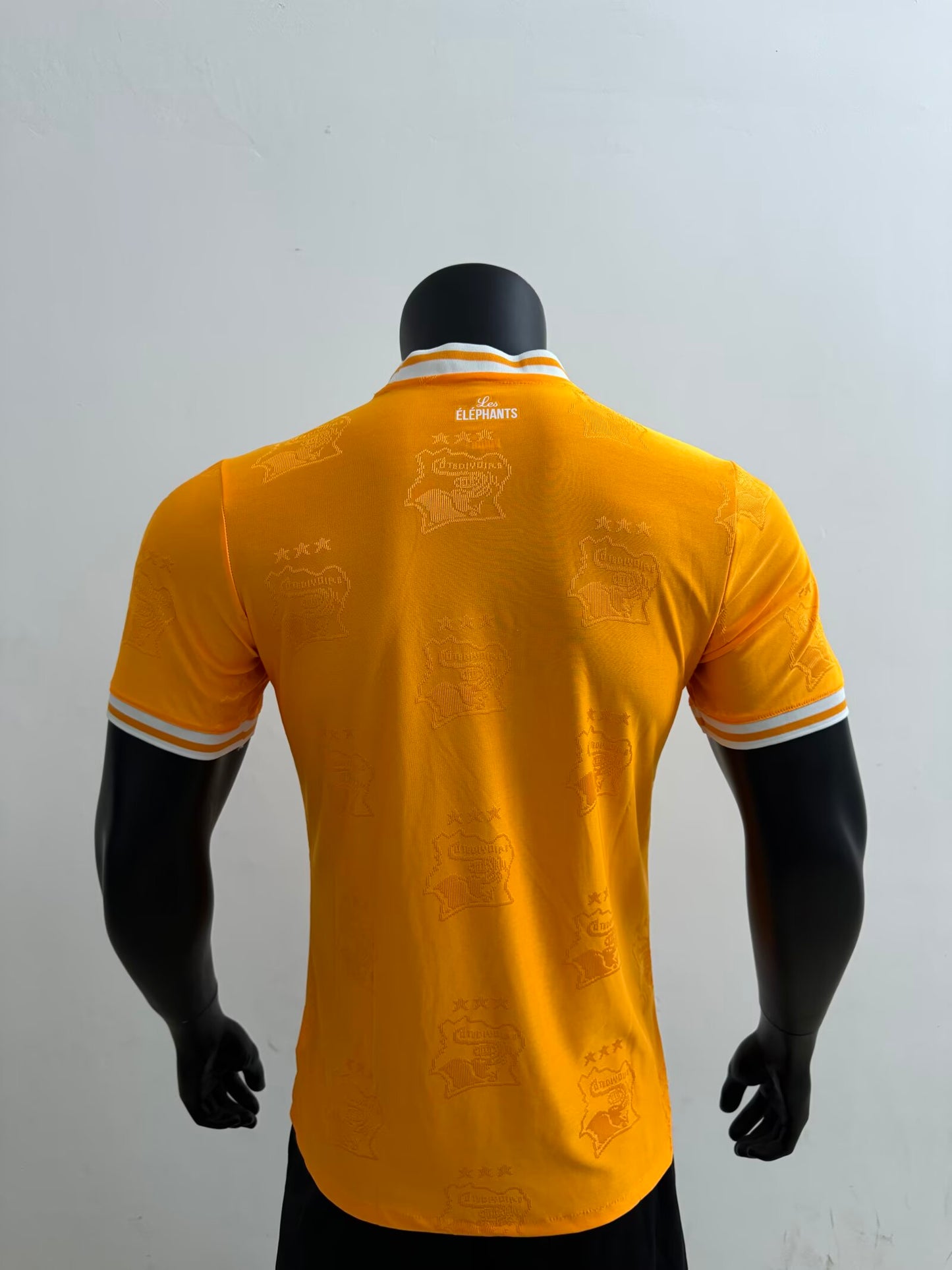Cote dIvoire 2025/2026 Home Player Version Football Jersey