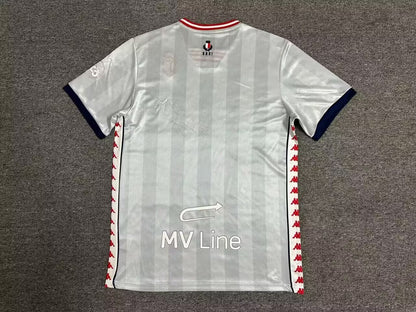 Bari Special Edition 2024/2025 Fan Version Football Jersey