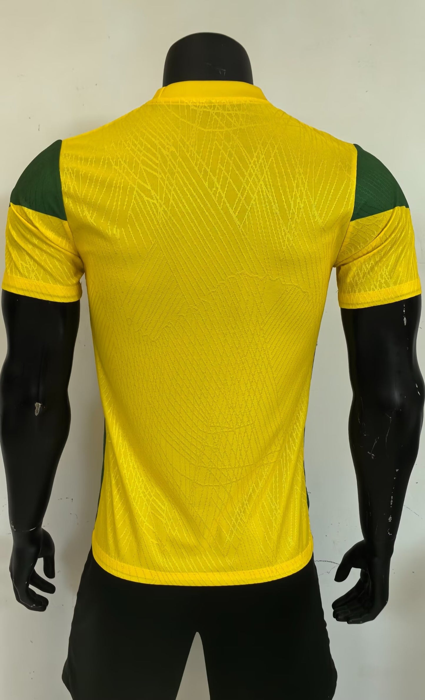 Benin 2026/2027 Home Player Version Football Jersey