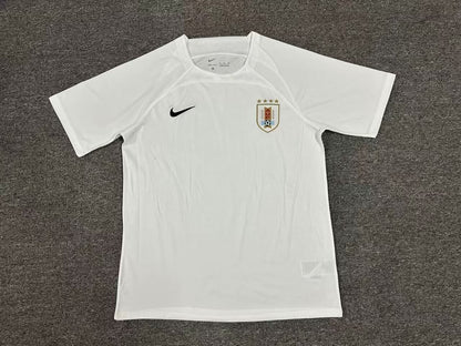 Uruguay Special Edition 2024/2025 Fan Version Football Jersey