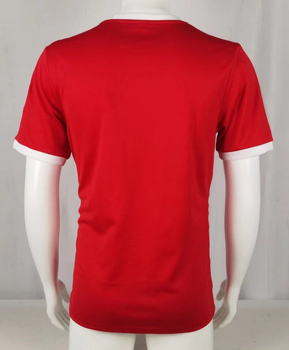 Retro Benfica homefans 1972/1973 Home Football Jersey