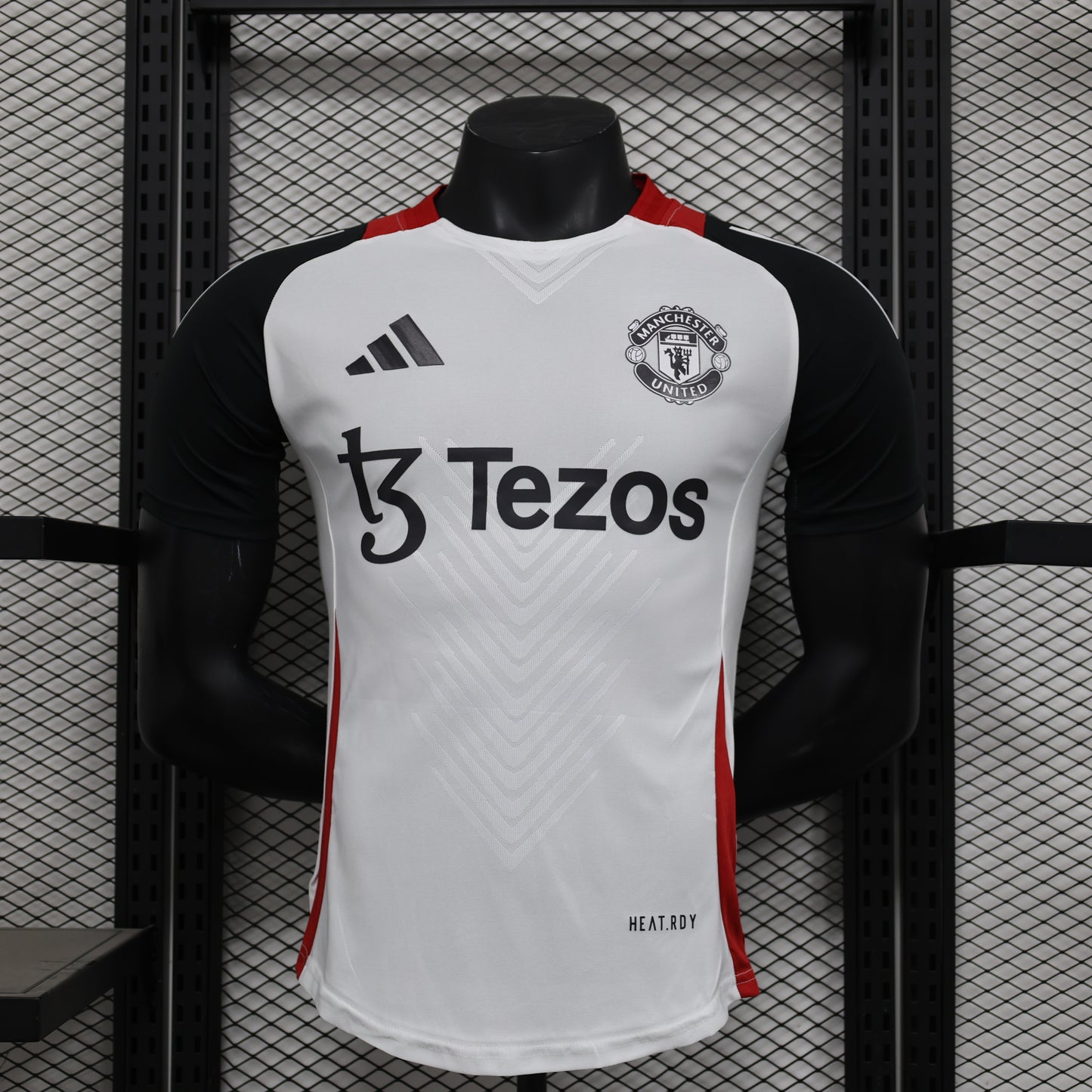 Manchester United Special Edition 2024/2025 Player Version Football Jersey