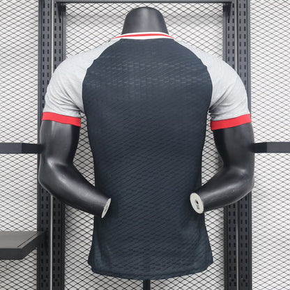 Japan Special Edition 2024/2025 Player Version Football Jersey