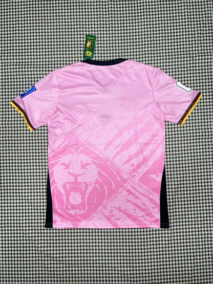 Cameroon 2025/2026 Fan Version Football Jersey