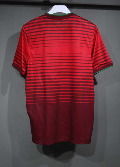 Retro Portugal 2014 Home Player Version Football Jersey