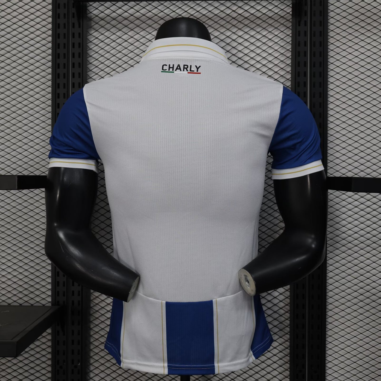 Pachuca 2024/2025 Home Player Version Football Jersey