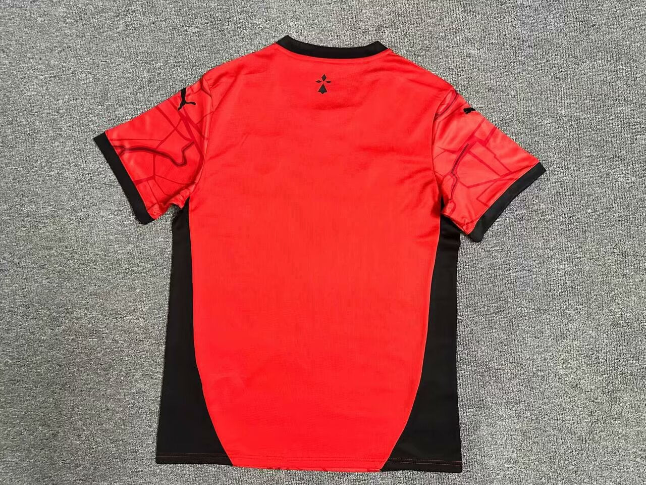 Stade Rennais 2024/2025 Home Fan Version Football Jersey