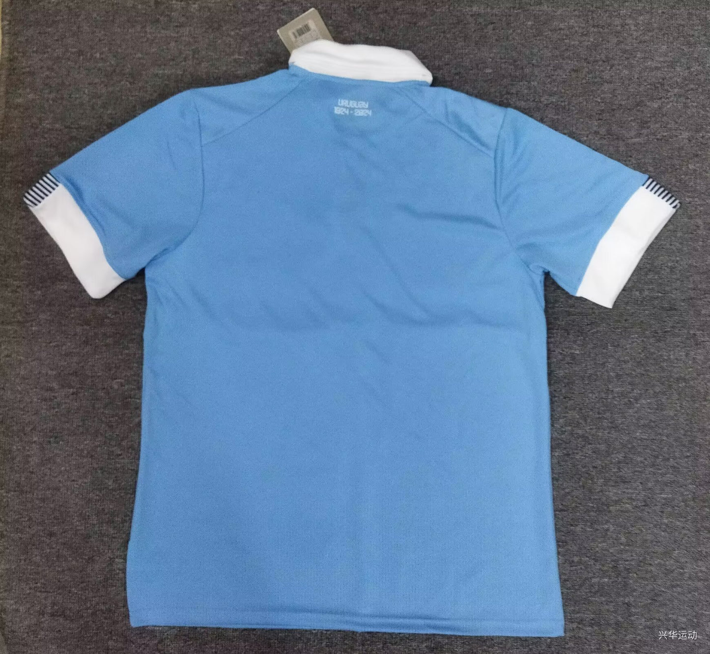 Uruguay 2023/2024 Home Fan Version Football Jersey
