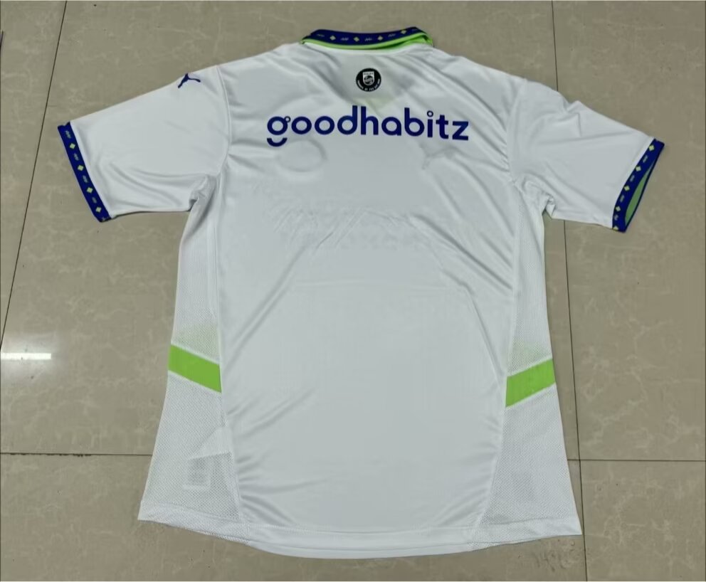 PSV eindhoven 2024/2025 Third Away Fan Version Football Jersey